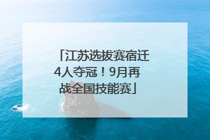 江苏选拔赛宿迁4人夺冠！9月再战全国技能赛