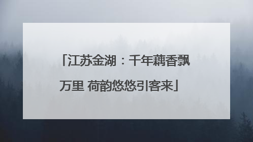 江苏金湖：千年藕香飘万里 荷韵悠悠引客来