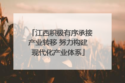 江西积极有序承接产业转移 努力构建现代化产业体系
