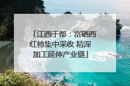江西于都：富硒西红柿集中采收 精深加工延伸产业链