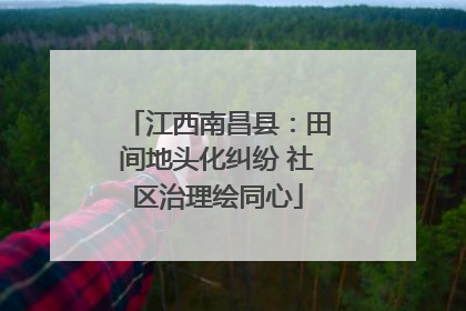 江西南昌县：田间地头化纠纷 社区治理绘同心