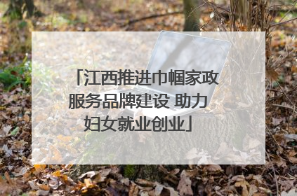 江西推进巾帼家政服务品牌建设 助力妇女就业创业