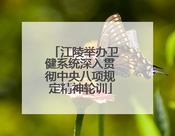 江陵举办卫健系统深入贯彻中央八项规定精神轮训