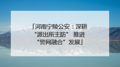 河南宁陵公安：深耕“派出所主防” 推进“警网融合”发展