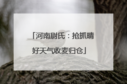 河南尉氏：抢抓晴好天气收麦归仓