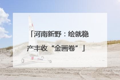 河南新野：绘就稳产丰收“金画卷”