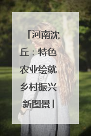 河南沈丘：特色农业绘就乡村振兴新图景