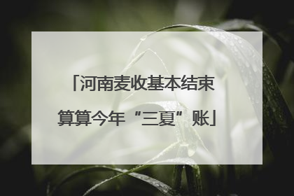 河南麦收基本结束 算算今年“三夏”账