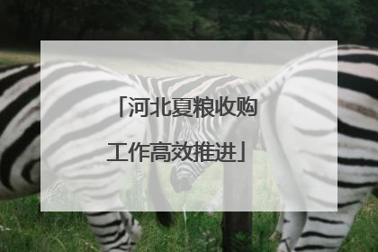 河北夏粮收购工作高效推进