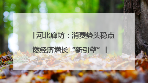 河北廊坊：消费势头稳点燃经济增长“新引擎”