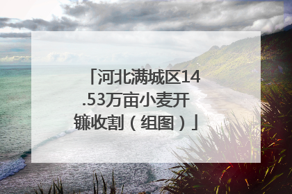 河北满城区14.53万亩小麦开镰收割（组图）