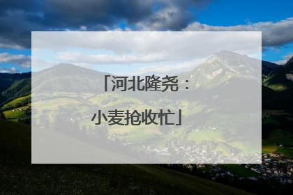 河北隆尧：小麦抢收忙