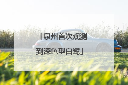 泉州首次观测到深色型白鹭