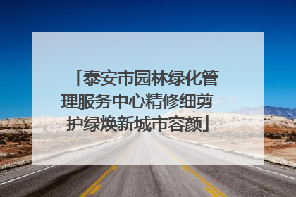 泰安市园林绿化管理服务中心精修细剪护绿焕新城市容颜