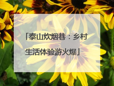泰山炊烟巷：乡村生活体验游火爆