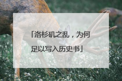 洛杉矶之乱，为何足以写入历史书