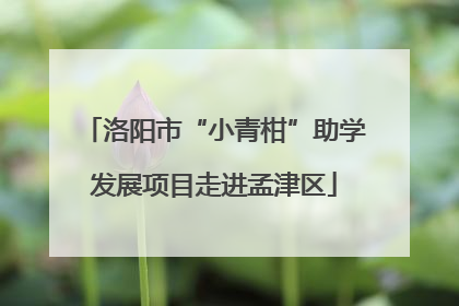 洛阳市“小青柑”助学发展项目走进孟津区