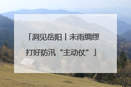 洞见岳阳丨未雨绸缪 打好防汛“主动仗”