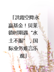 洪霞空降永赢基金！贝莱德时期遇“水土不服”，国际业务难言乐观