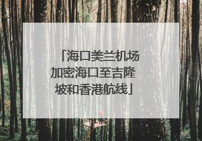 海口美兰机场加密海口至吉隆坡和香港航线