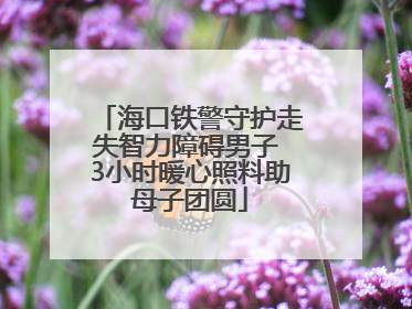 海口铁警守护走失智力障碍男子 3小时暖心照料助母子团圆