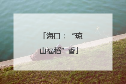 海口：“琼山福稻”香