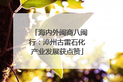 海内外闽商八闽行：漳州古雷石化产业发展获点赞