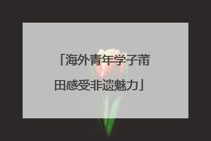 海外青年学子莆田感受非遗魅力