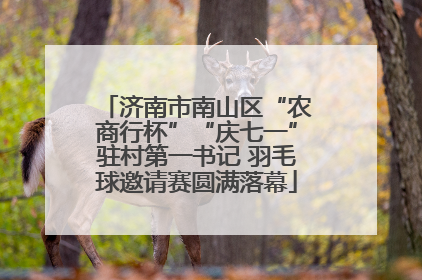 济南市南山区“农商行杯”“庆七一”驻村第一书记 羽毛球邀请赛圆满落幕