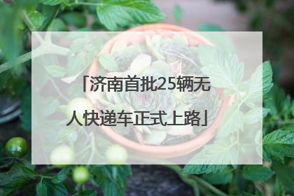 济南首批25辆无人快递车正式上路