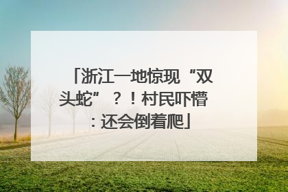 浙江一地惊现“双头蛇”？！村民吓懵：还会倒着爬