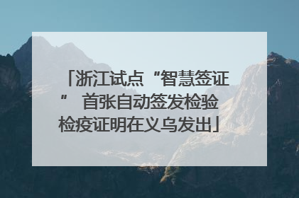 浙江试点“智慧签证” 首张自动签发检验检疫证明在义乌发出