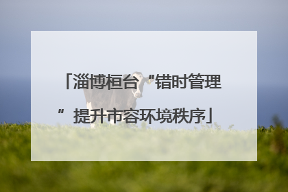 淄博桓台“错时管理”提升市容环境秩序