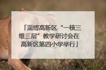 淄博高新区“一核三维三层”教学研讨会在高新区第四小学举行