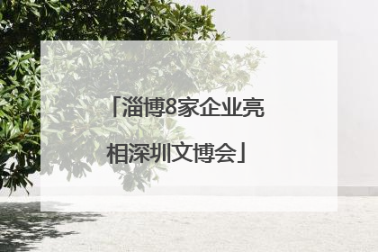 淄博8家企业亮相深圳文博会