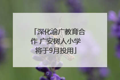 深化渝广教育合作 广安树人小学将于9月投用