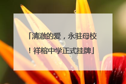 清澈的爱，永驻母校！祥榕中学正式挂牌