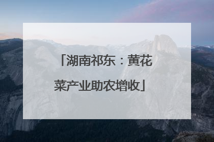 湖南祁东：黄花菜产业助农增收