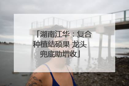 湖南江华：复合种植结硕果 龙头兜底助增收