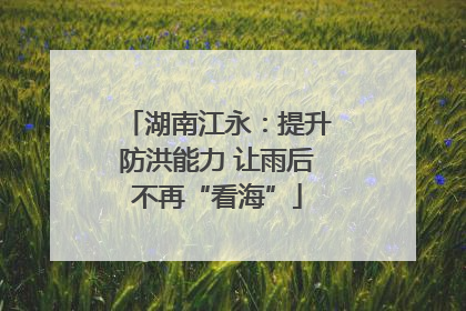 湖南江永：提升防洪能力 让雨后不再“看海”