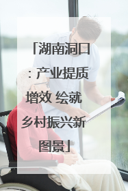 湖南洞口：产业提质增效 绘就乡村振兴新图景