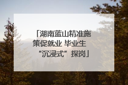 湖南蓝山精准施策促就业 毕业生“沉浸式”探岗