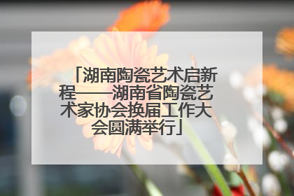 湖南陶瓷艺术启新程——湖南省陶瓷艺术家协会换届工作大会圆满举行
