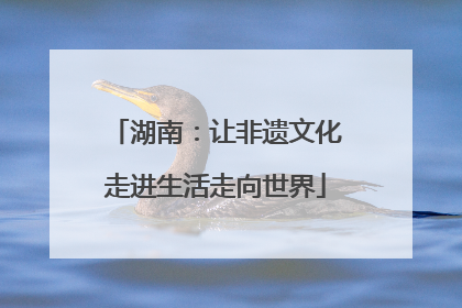 湖南：让非遗文化走进生活走向世界