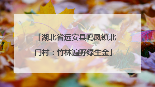 湖北省远安县鸣凤镇北门村：竹林遍野绿生金