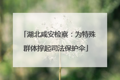 湖北咸安检察：为特殊群体撑起司法保护伞
