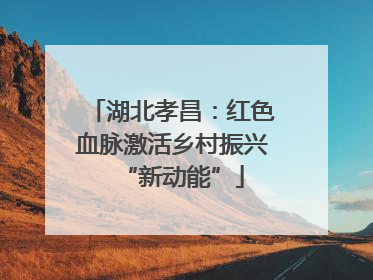 湖北孝昌：红色血脉激活乡村振兴“新动能”
