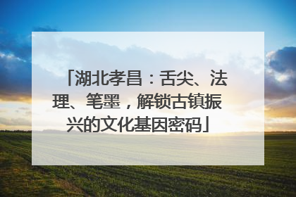 湖北孝昌：舌尖、法理、笔墨，解锁古镇振兴的文化基因密码