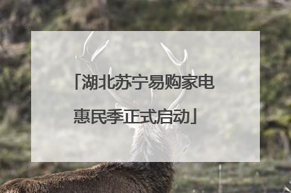 湖北苏宁易购家电惠民季正式启动
