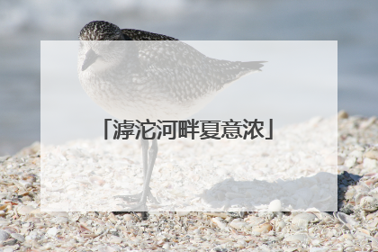 滹沱河畔夏意浓